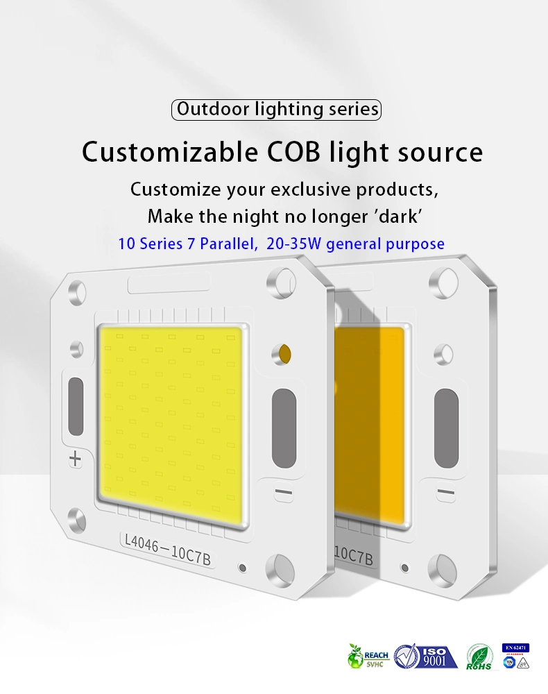 LED 20W 30W 40W 50W COB for Integrated Floodlights